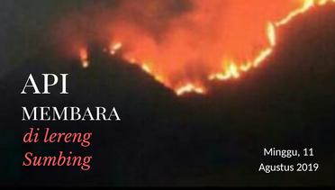 Kebakaran Hutan Melanda Gunung Sumbing, Pendakian Ditutup