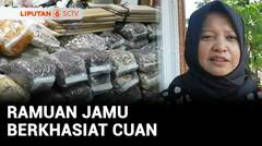 Berani Berubah Spesial Hari Jamu Nasional: Ramuan Jamu Berkhasiat Cuan | Liputan 6