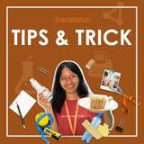 Bacaterus.com Tips & Tricks