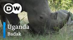 DW Going Wild 12 - Uganda_Badak