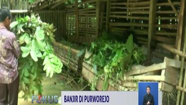Miris, Banjir Purworejo Menewaskan Ternak Warga - Fokus