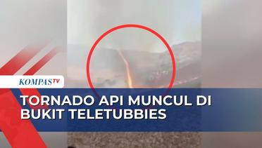 Titik Api Kembali Meluas Usai Kemunculan Puting Beliun di Tengah Kebakaran Bukit Teletubbies Bromo