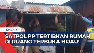 Satpol PP Kota Baubau Terpaksa Bongkar Bangunan Tak Berizin di Ruang Terbuka Hijau Publik!