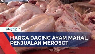 Harga Daging Ayam Di Pasar Tak Juga Turun, Penjualan Merosot