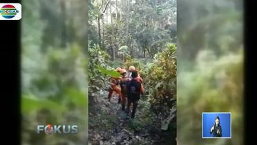 Terisolasi! Tim SAR Evakuasi hingga Menggendong Warga, Dampak Erupsi Gunung Karanetang - Fokus