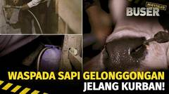 Muslihat Pedagang Sapi Gelonggongan | Buser Investigasi