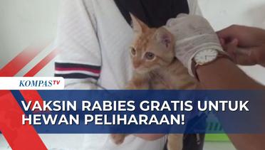 Hari Rabies Sedunia, Dinas Peternakan dan Kesehatan Hewan Bengkulu Gelar Vaksin Rabies Gratis!